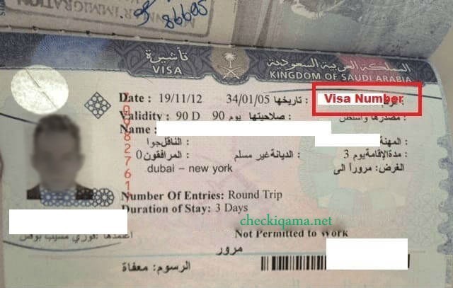 Visa Number For Apply Family Visit Visa